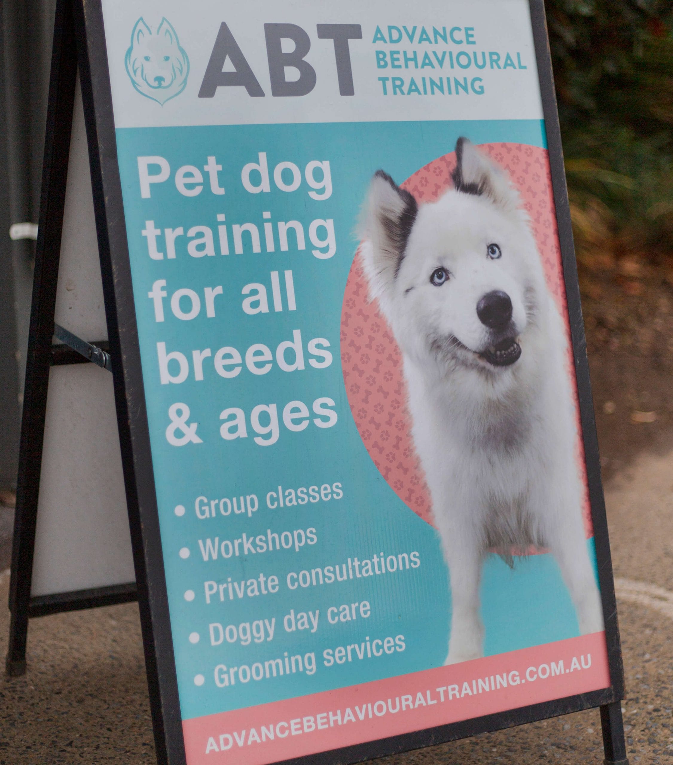abt-plus-about-image-2 Online dog training courses sign
